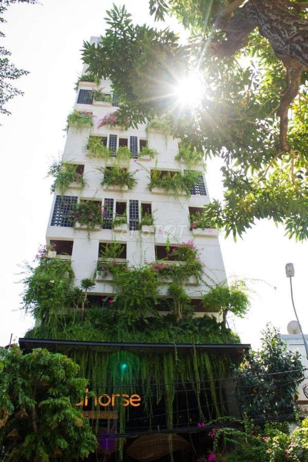 Seahorse Tropical Apartment Da Nang Exterior photo